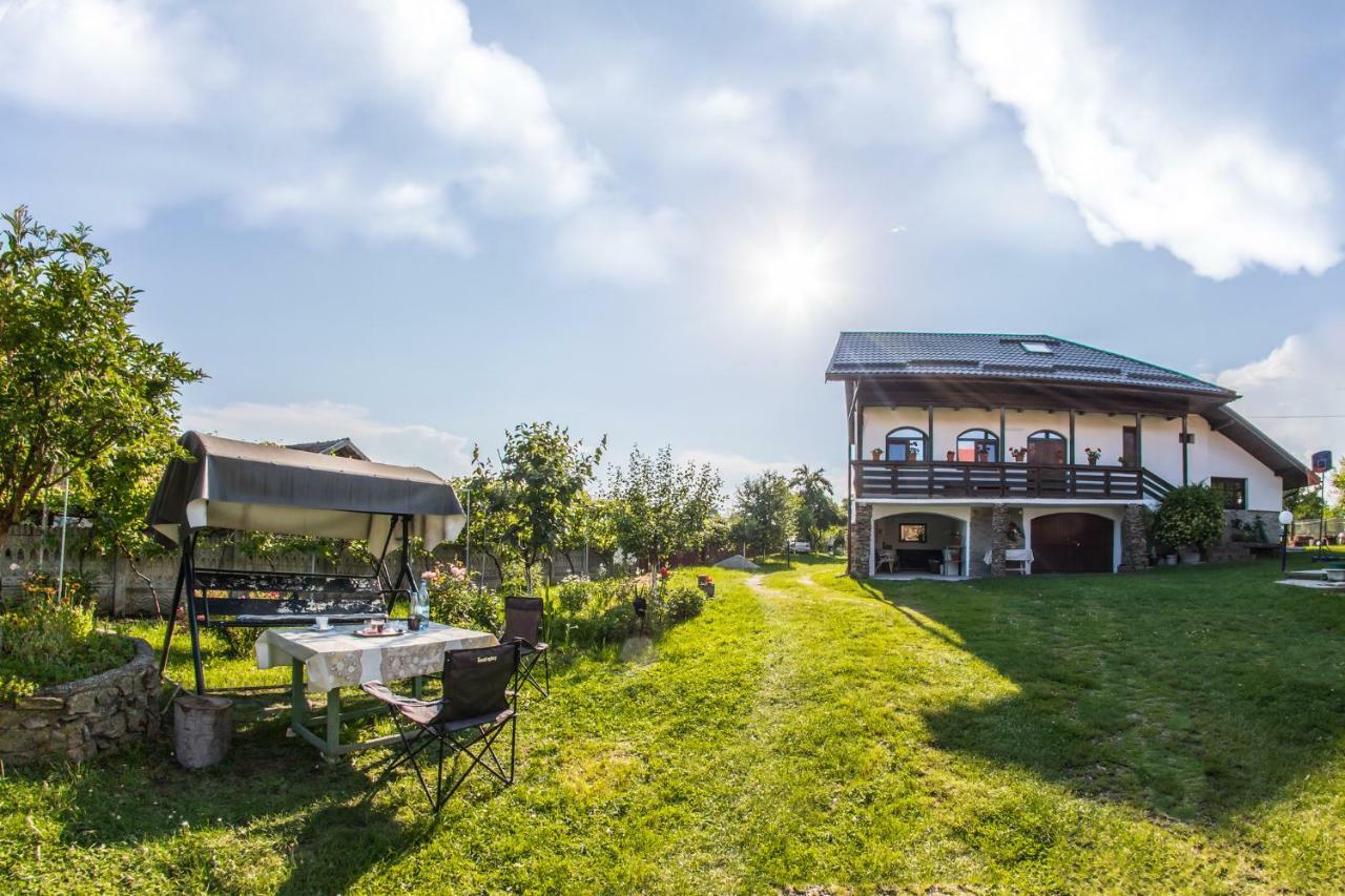 Casa De Vacanta Mirela Novaci-Străini 외부 사진